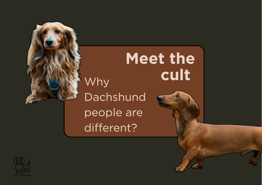 Inside the cult: What makes Dachshund people so unique?