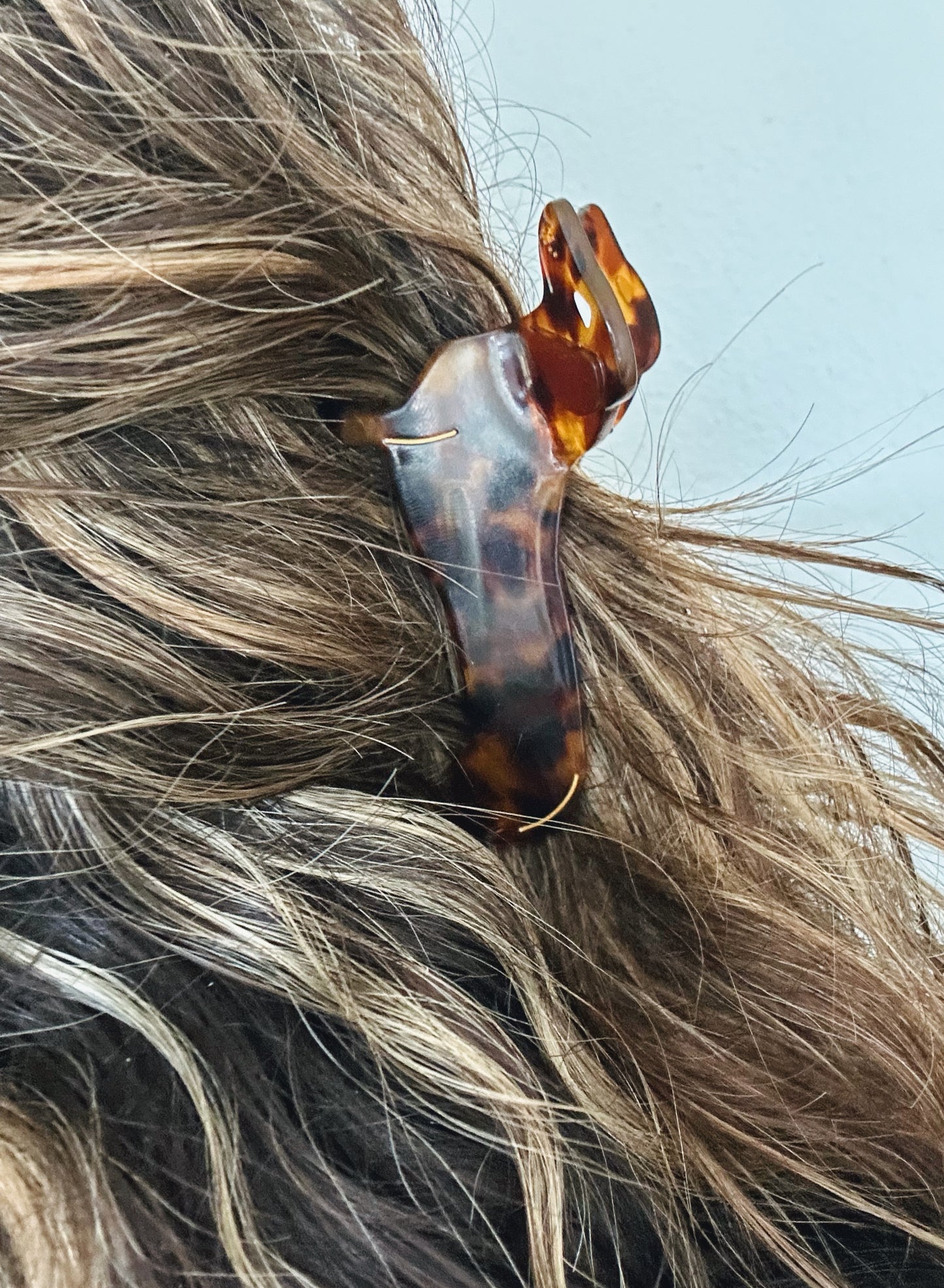 Dachshund hair clip