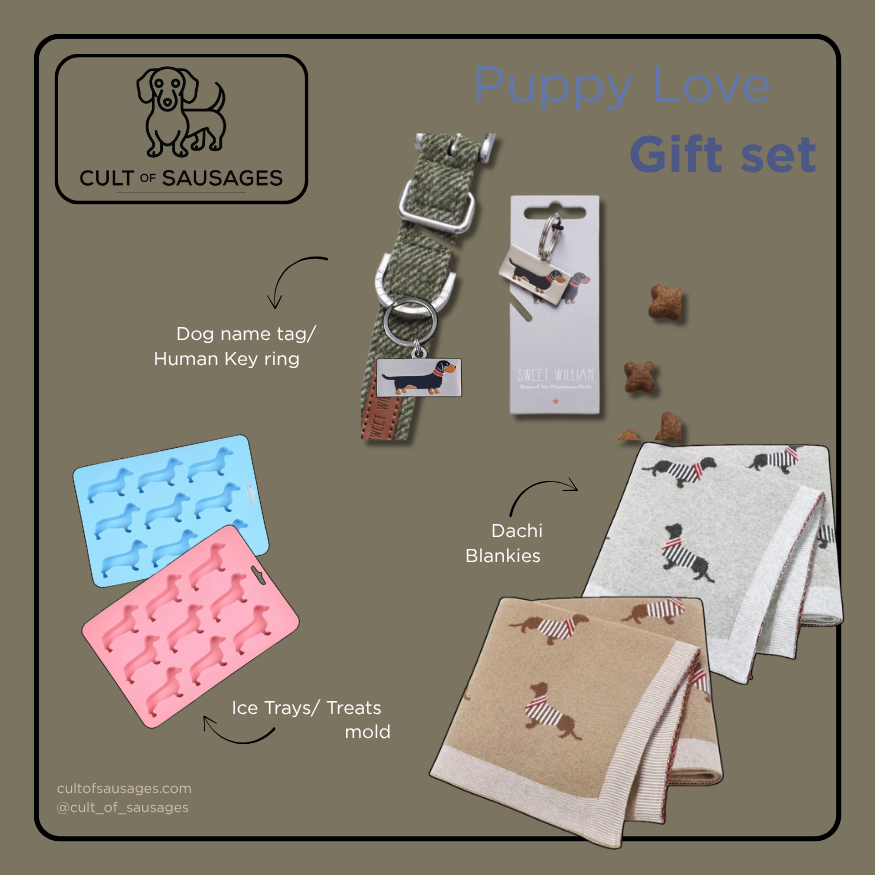 Puppy Love gift set with dog name tag, key ring, ice trays, and blankets on a gray background.