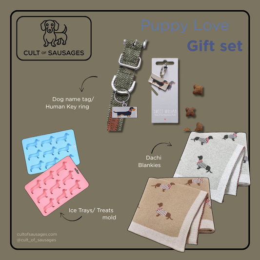 Puppy Love gift set with dog name tag, key ring, ice trays, and blankets on a gray background.
